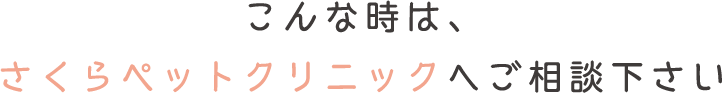 こんな時は、さくらペットクリニックへご相談下さい