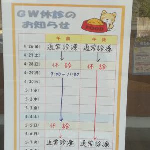 GWの診療とペットホテルについて