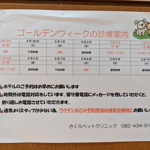 GWの診療とペットホテルについて