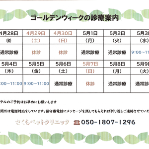 GW中の診療案内